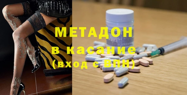 шишки Няндома