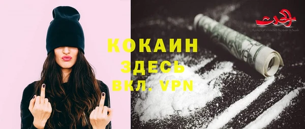 шишки Няндома