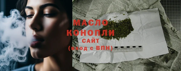 шишки Няндома