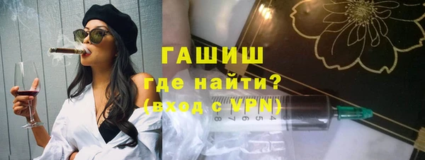 шишки Няндома