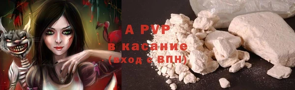 шишки Няндома