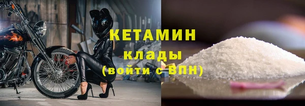 шишки Няндома