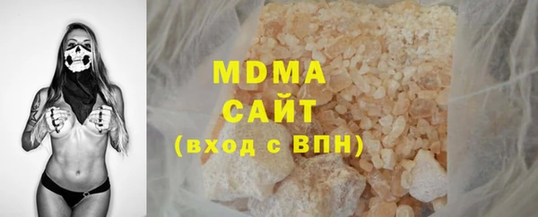 шишки Няндома