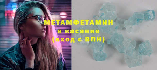 шишки Няндома