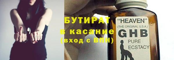 шишки Няндома