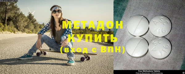 шишки Няндома