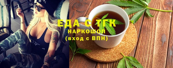 шишки Няндома