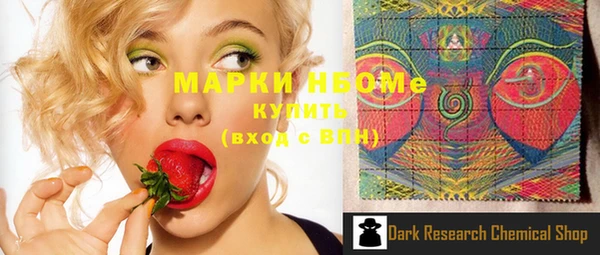 шишки Няндома
