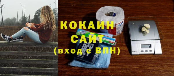 соль курить ск Нязепетровск