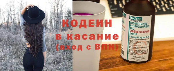 шишки Няндома