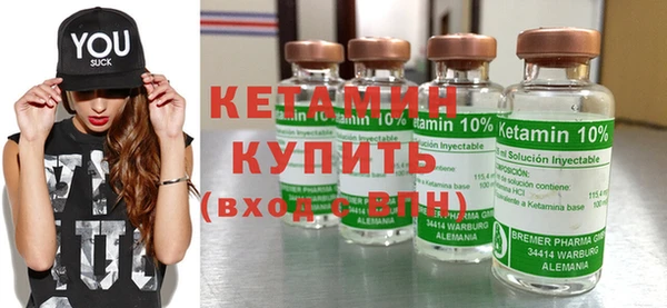 шишки Няндома