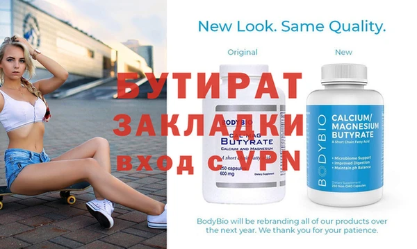 шишки Няндома