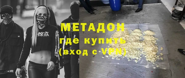 шишки Няндома