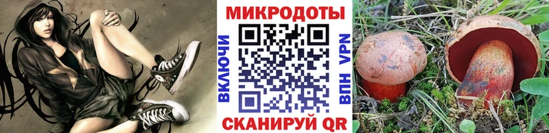 KRAKEN зеркало  Чебоксары  Галлюциногенные грибы MAGIC MUSHROOMS 