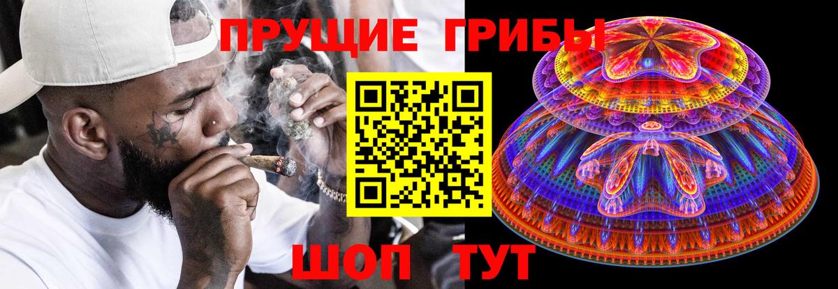 Чебоксары  Псилоцибиновые грибы Cubensis  Вход с VPN 